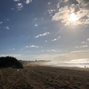 Meet your Posher, Gracie